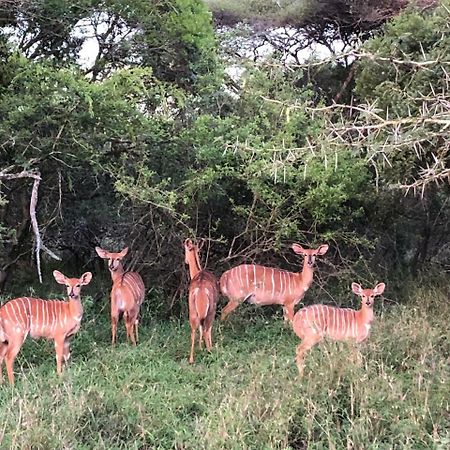 Msunduze River Lodge Mkuze Luaran gambar