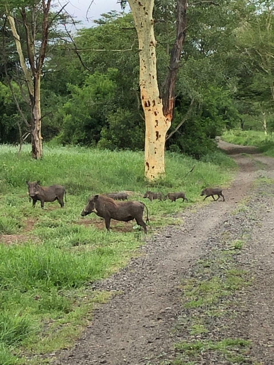 Msunduze River Lodge Mkuze Luaran gambar