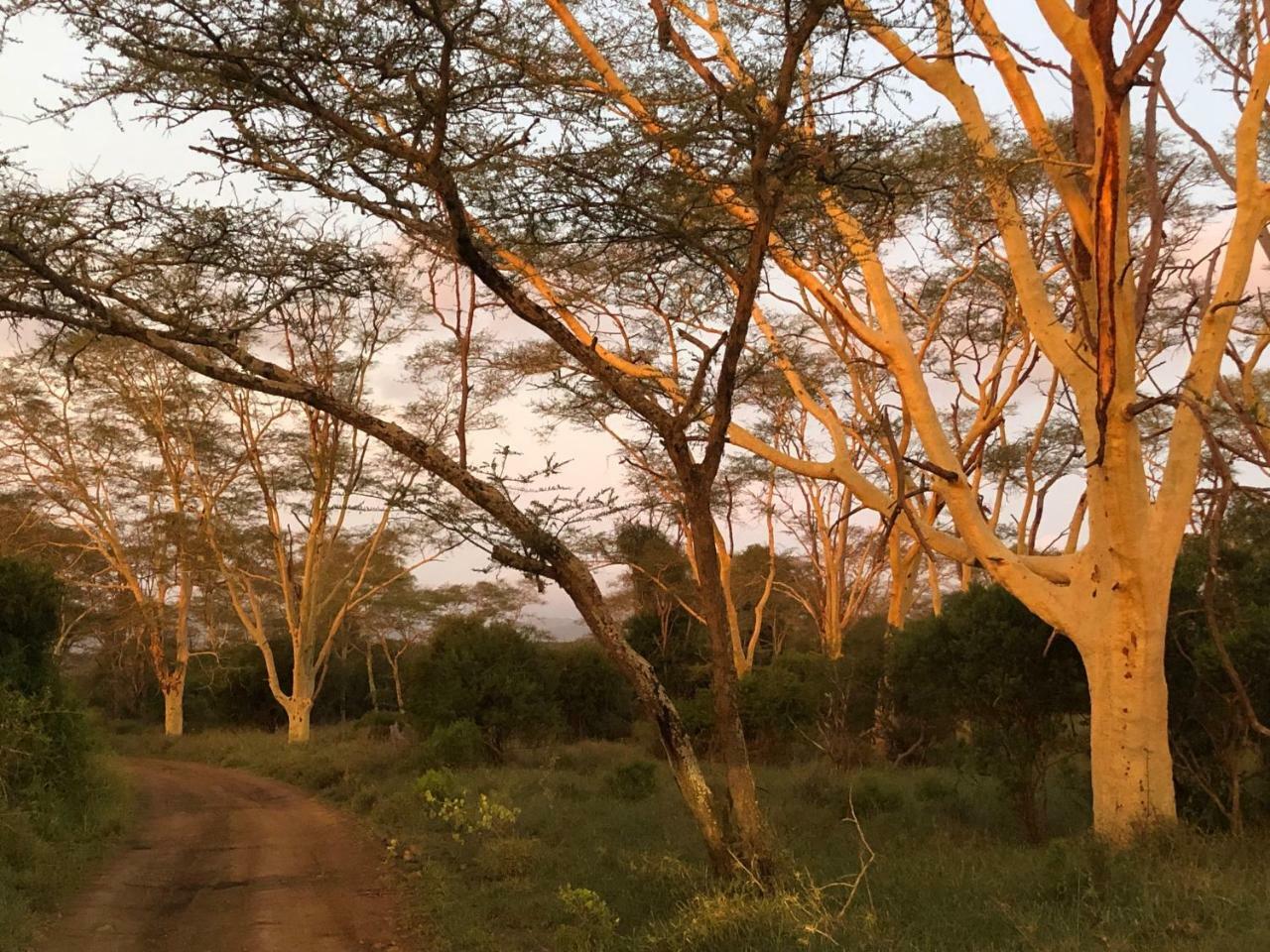 Msunduze River Lodge Mkuze Luaran gambar